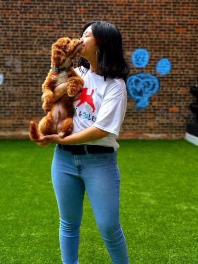 Paws & Tales Doggy Playgroup - Jersey City, NJ