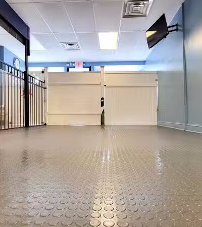 Paws & Tales Doggy Playgroup - Jersey City, NJ