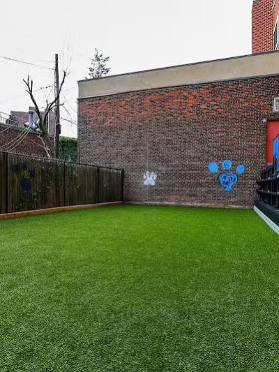 Paws & Tales Doggy Playgroup - Jersey City, NJ