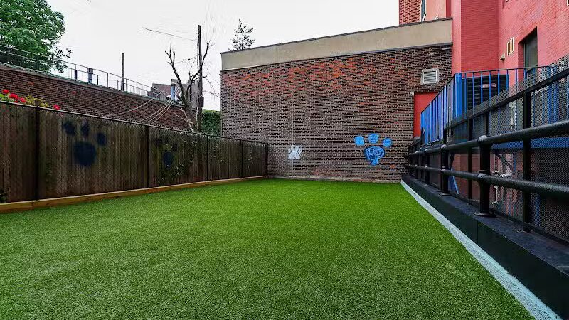 Paws & Tales Doggy Playgroup - Jersey City, NJ