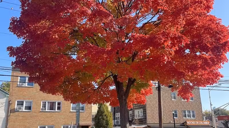 Pershing Field Park - Jersey City, NJ