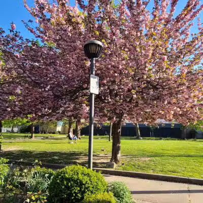Pershing Field Park - Jersey City, NJ