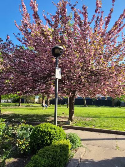 Pershing Field Park - Jersey City, NJ