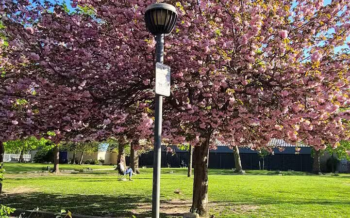 Pershing Field Park - Jersey City, NJ
