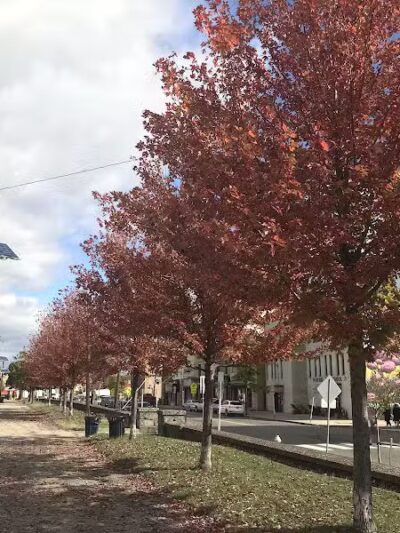 Pershing Field Park - Jersey City, NJ