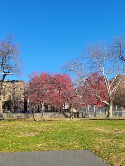 Pershing Field Park - Jersey City, NJ
