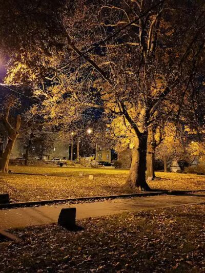 Pershing Field Park - Jersey City, NJ