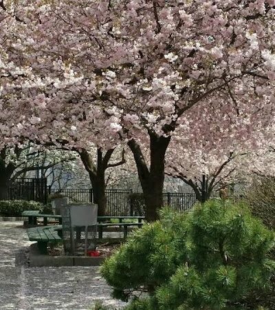 Sgt. Anthony Park - Jersey City, NJ