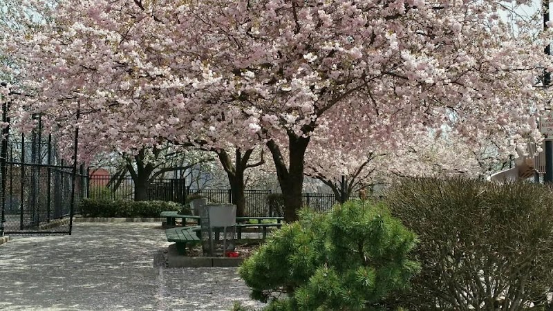 Sgt. Anthony Park - Jersey City, NJ