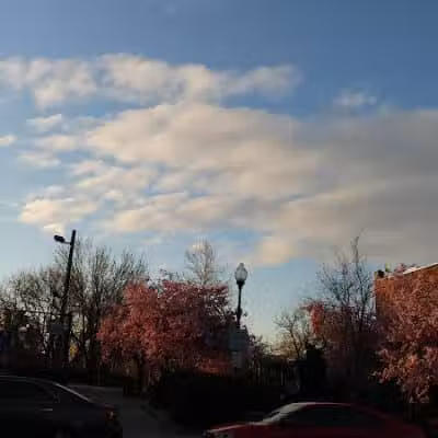 Sgt. Anthony Park - Jersey City, NJ
