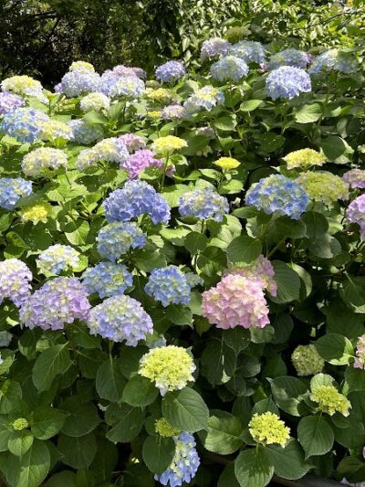 Van Vorst Park - Jersey City, NJ