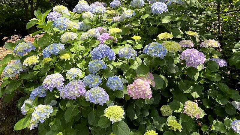 Van Vorst Park - Jersey City, NJ