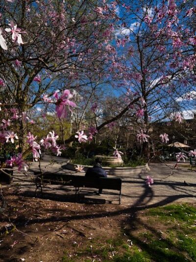 Van Vorst Park - Jersey City, NJ