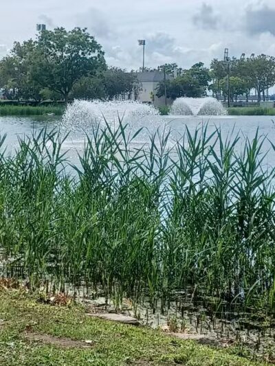 Village Park - Jersey City, NJ