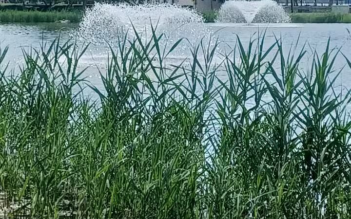 Village Park - Jersey City, NJ