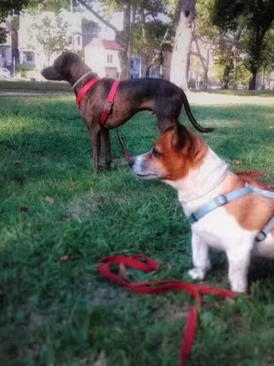 Arlington Park - Jersey City, NJ