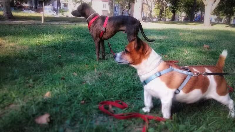 Arlington Park - Jersey City, NJ