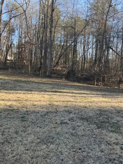 Joanna's Park - Joanna, SC