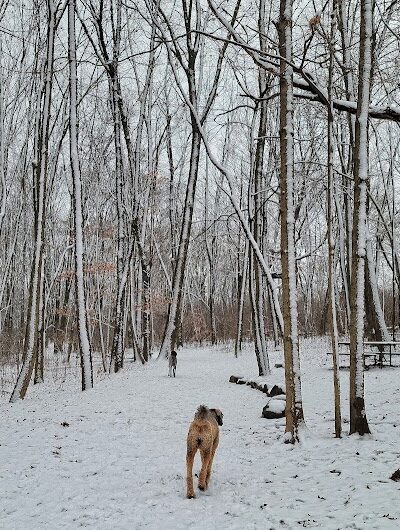 Jefferson County Dog Park - Johnson Creek, WI