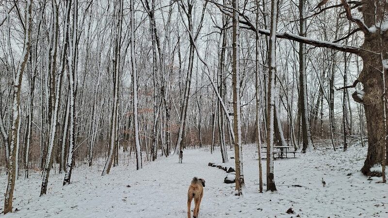 Jefferson County Dog Park - Johnson Creek, WI