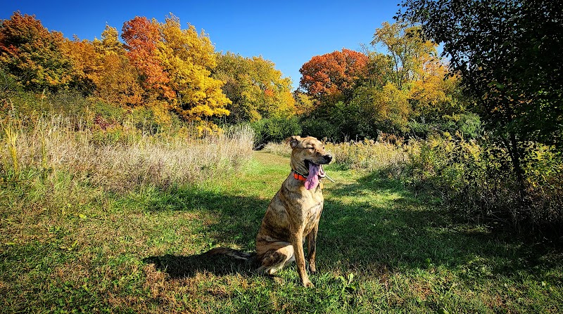 Jefferson County Dog Park - Johnson Creek, WI