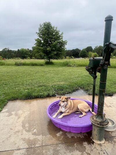Jefferson County Dog Park - Johnson Creek, WI