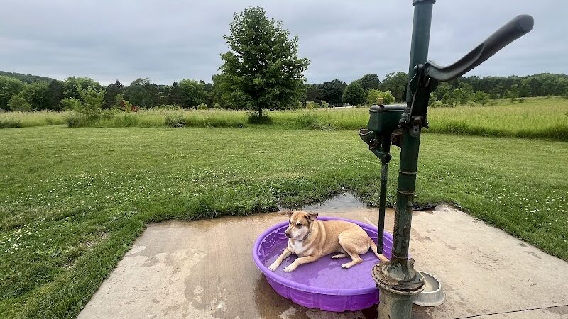 Jefferson County Dog Park - Johnson Creek, WI