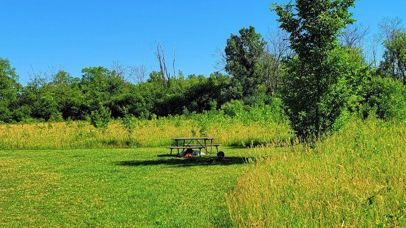 Jefferson County Dog Park - Johnson Creek, WI
