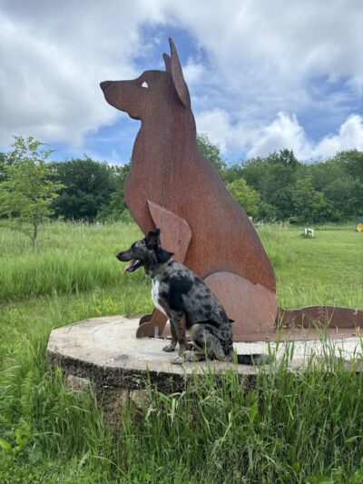 Jefferson County Dog Park - Johnson Creek, WI
