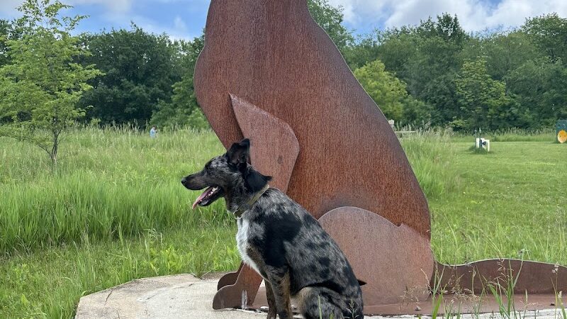 Jefferson County Dog Park - Johnson Creek, WI