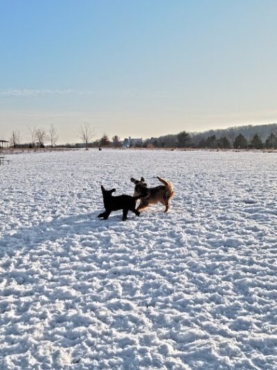 Jefferson County Dog Park - Johnson Creek, WI