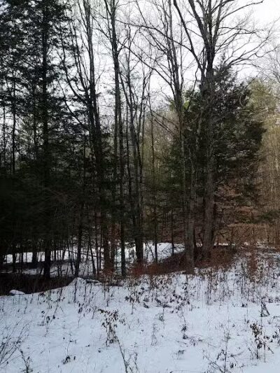 Pittstown SMBA Trail Head - Johnsonville, NY