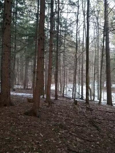 Pittstown SMBA Trail Head - Johnsonville, NY