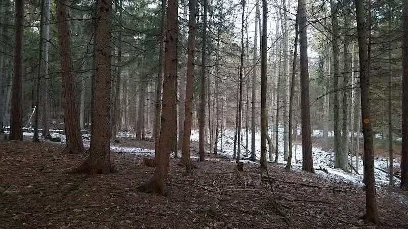 Pittstown SMBA Trail Head - Johnsonville, NY