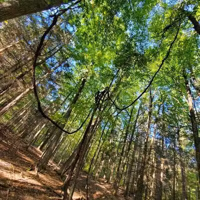 Pittstown SMBA Trail Head - Johnsonville, NY