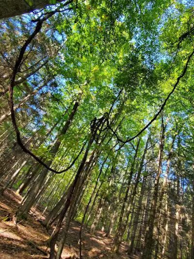 Pittstown SMBA Trail Head - Johnsonville, NY