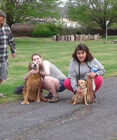 Sandyvale Dog Park - Johnstown, PA