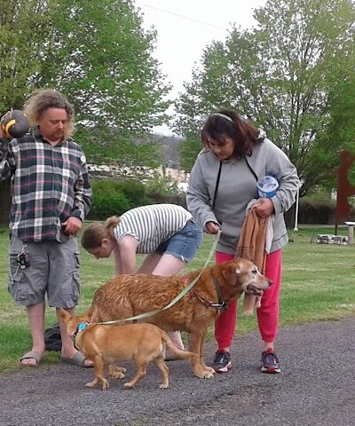 Sandyvale Dog Park - Johnstown, PA