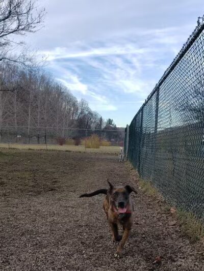 Sandyvale Dog Park - Johnstown, PA