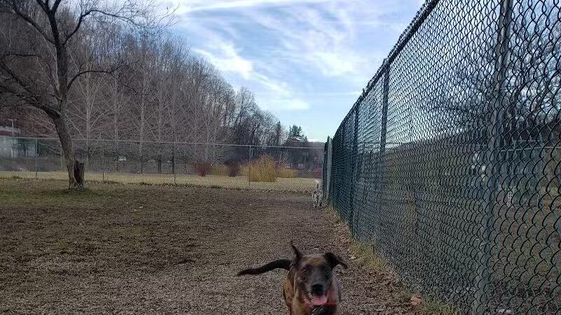 Sandyvale Dog Park - Johnstown, PA