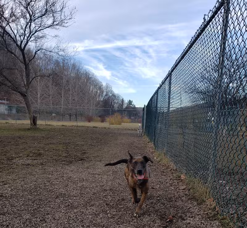 Sandyvale Dog Park - Johnstown, PA
