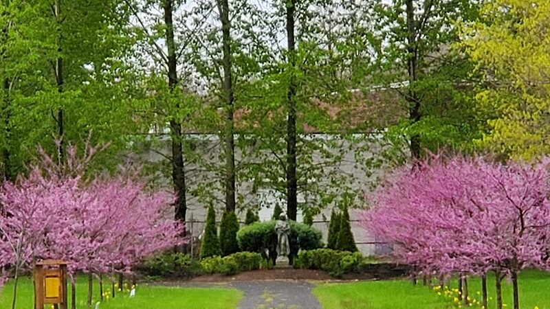 Sandyvale Memorial Gardens and Conservancy and Dog Park - Johnstown, PA