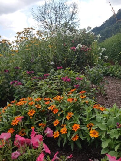 Sandyvale Memorial Gardens and Conservancy and Dog Park - Johnstown, PA