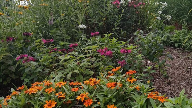 Sandyvale Memorial Gardens and Conservancy and Dog Park - Johnstown, PA