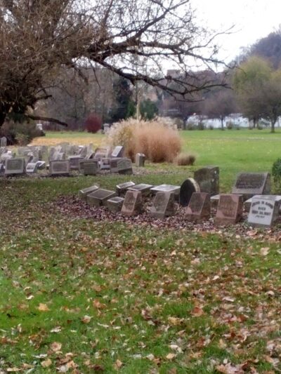 Sandyvale Memorial Gardens and Conservancy and Dog Park - Johnstown, PA