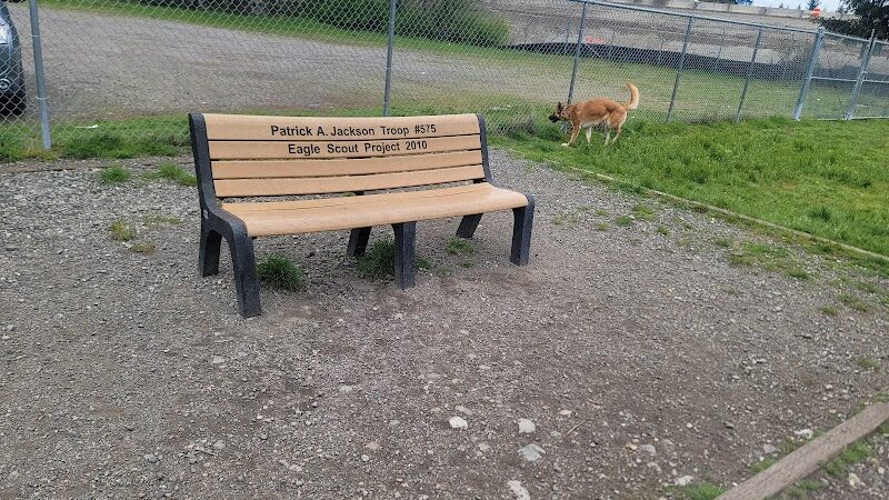Ft Lewis Dog Park - Joint Base Lewis-McChord, WA