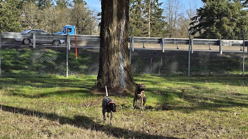 Ft Lewis Dog Park - Joint Base Lewis-McChord, WA