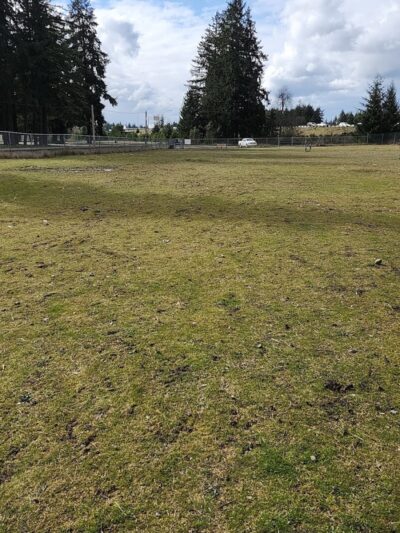 Ft Lewis Dog Park - Joint Base Lewis-McChord, WA