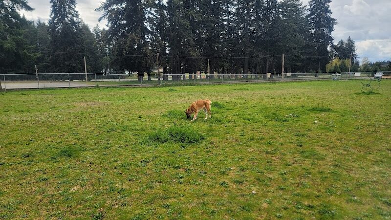Ft Lewis Dog Park - Joint Base Lewis-McChord, WA