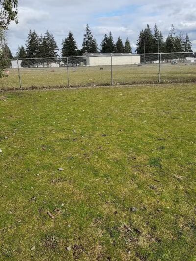 Ft Lewis Dog Park - Joint Base Lewis-McChord, WA